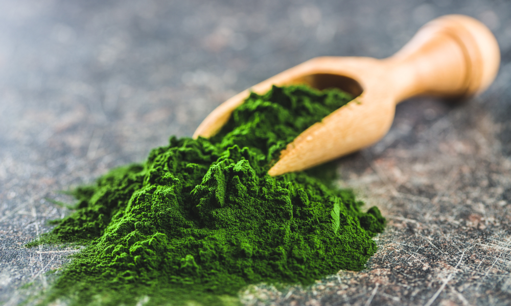 Chlorella – Superfood Pełne Zdrowia